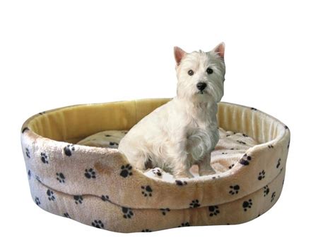 hermes hundebett